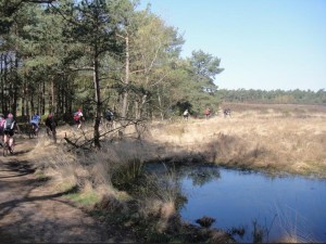 Mountainbiken in de Kroondomeinen